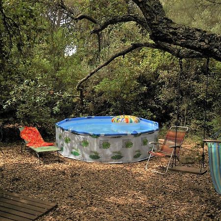 La Cabana Del Alcornoque Cordoba Dış mekan fotoğraf