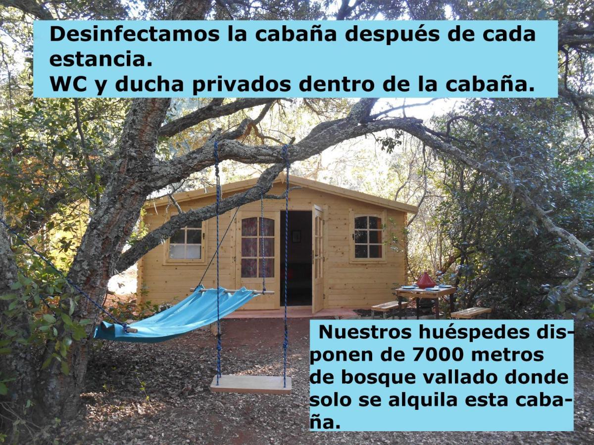 La Cabana Del Alcornoque Cordoba Dış mekan fotoğraf