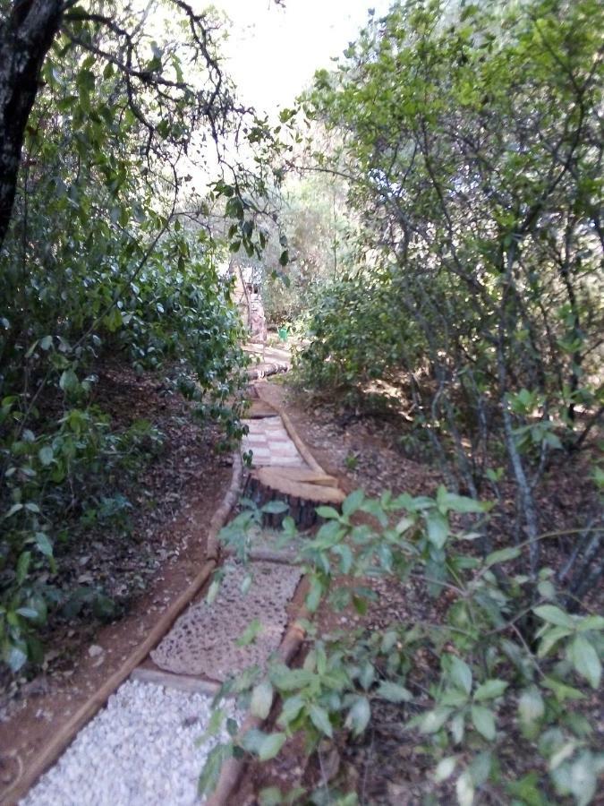 La Cabana Del Alcornoque Cordoba Dış mekan fotoğraf