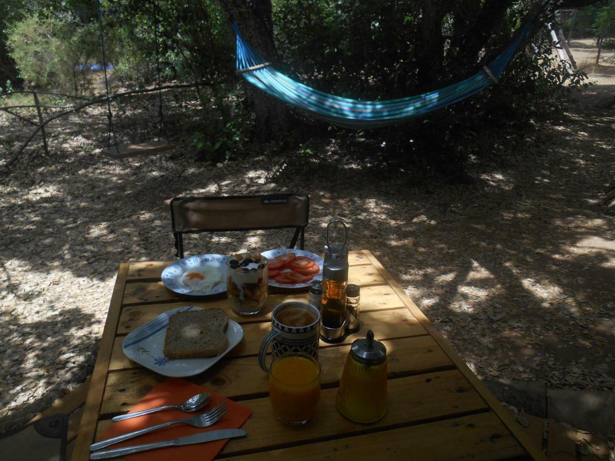 La Cabana Del Alcornoque Cordoba Dış mekan fotoğraf