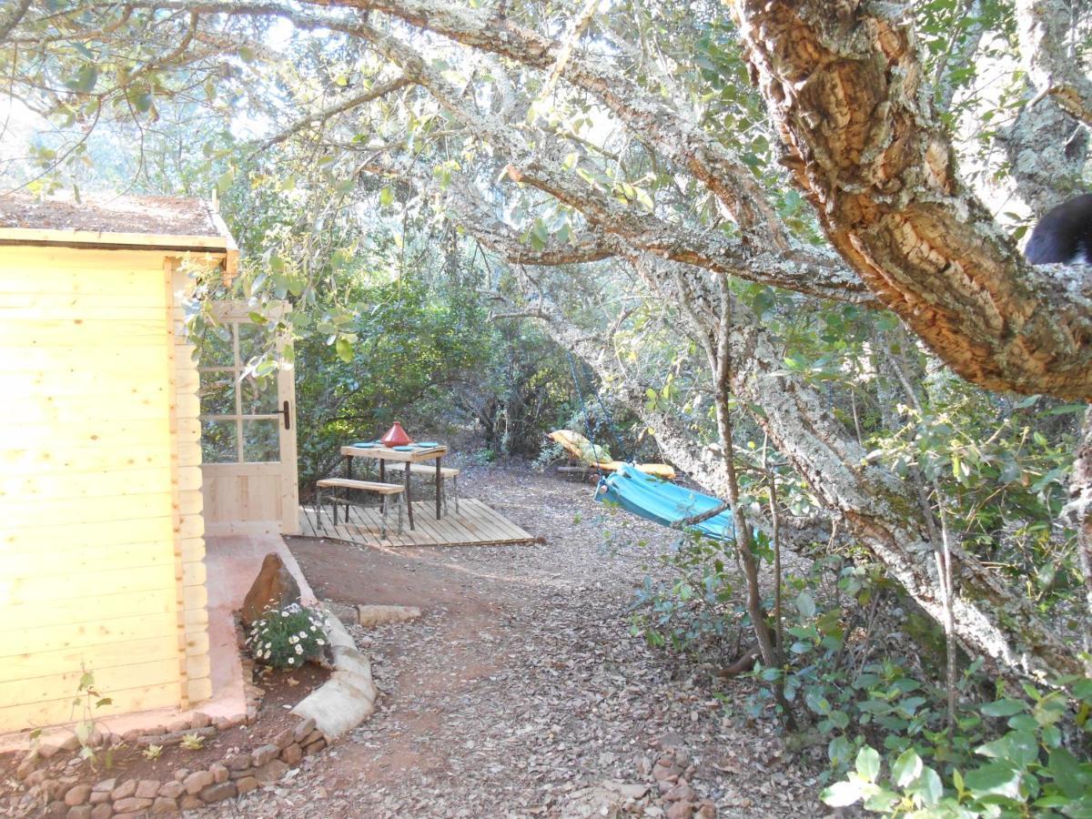 La Cabana Del Alcornoque Cordoba Dış mekan fotoğraf