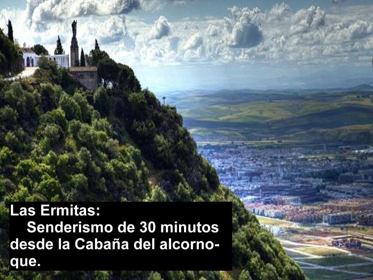 La Cabana Del Alcornoque Cordoba Dış mekan fotoğraf